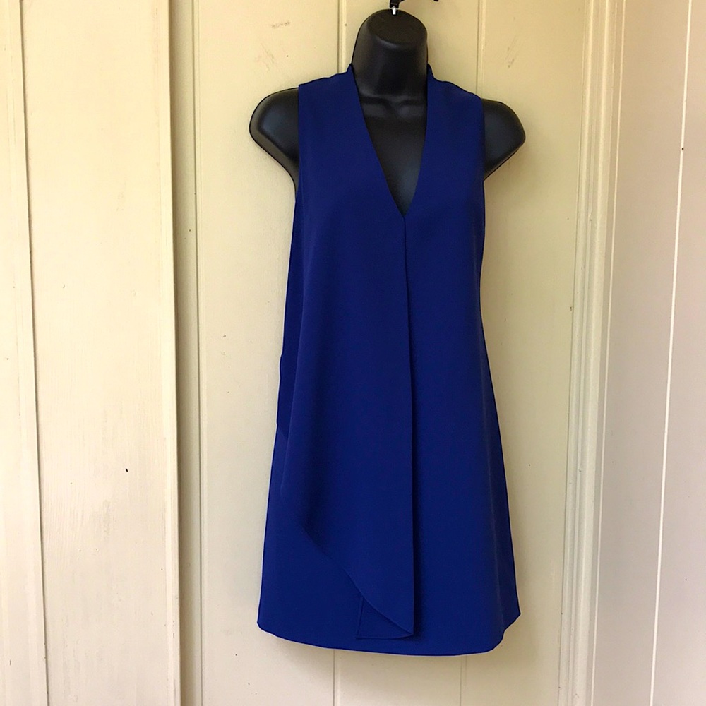 Alice and Olivia Dress